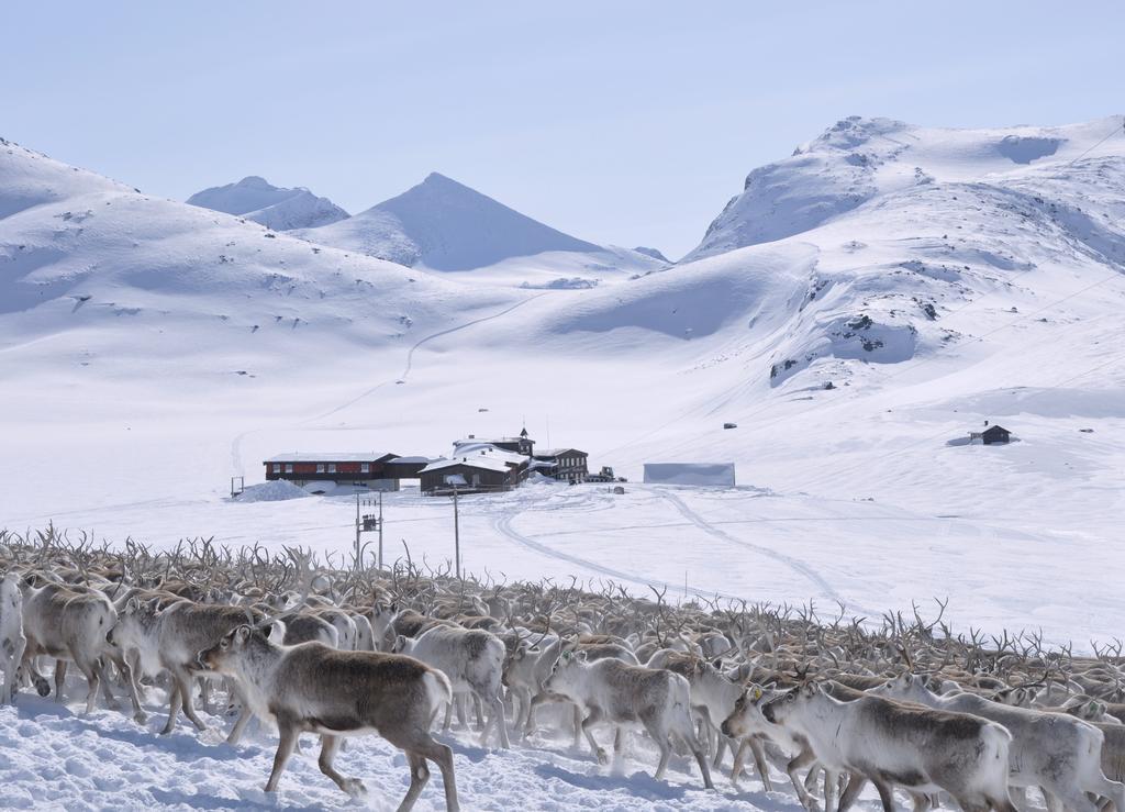 Leirvassbu Fjellstue Hotel Boverdalen Luaran gambar